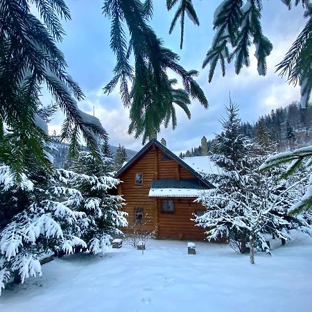 Na Gori Villa Slavske Buitenkant foto