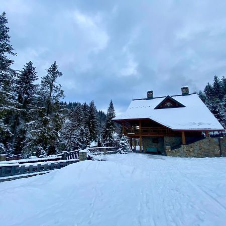 Na Gori Villa Slavske Buitenkant foto