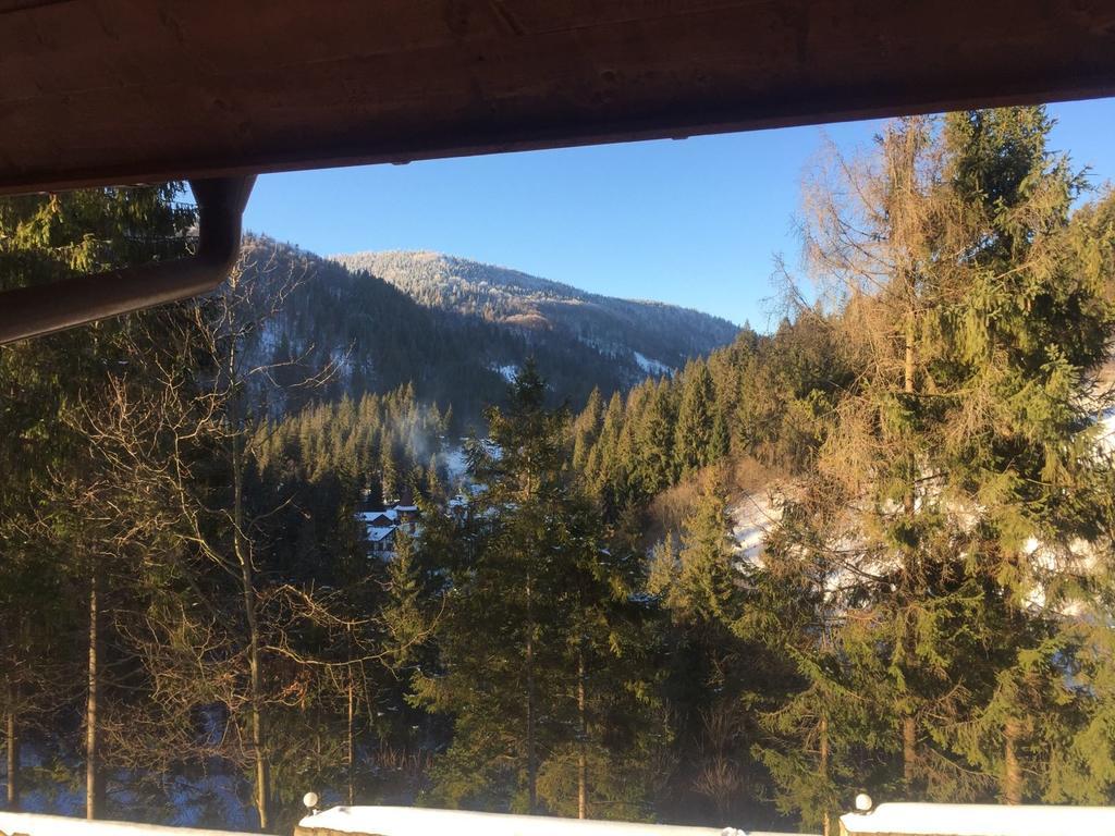 Na Gori Villa Slavske Buitenkant foto