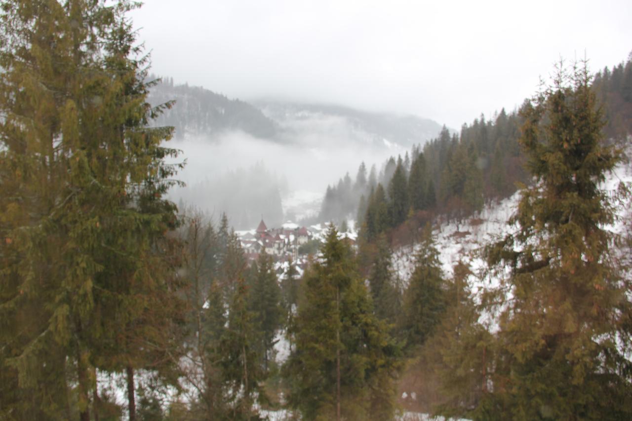 Na Gori Villa Slavske Buitenkant foto